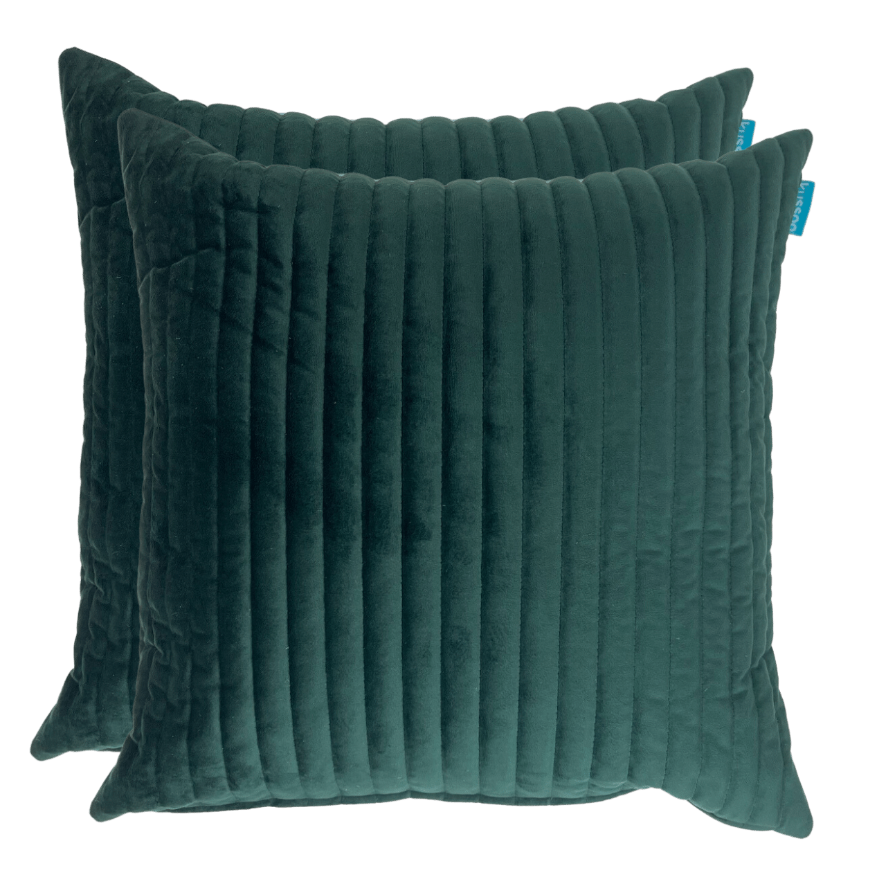 Kussen fluweel Bosgroen streep 50x50 cm set van 2 sierkussens